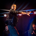 flamenco (66)